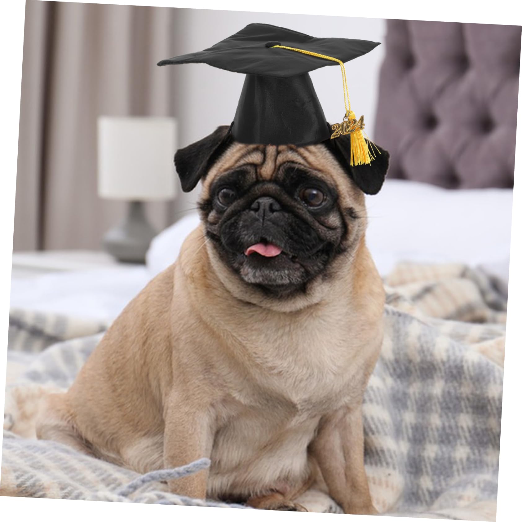 Amazon | HOMOBABE ペット用卒業帽 子犬 子猫用なタッセル付き帽子 年