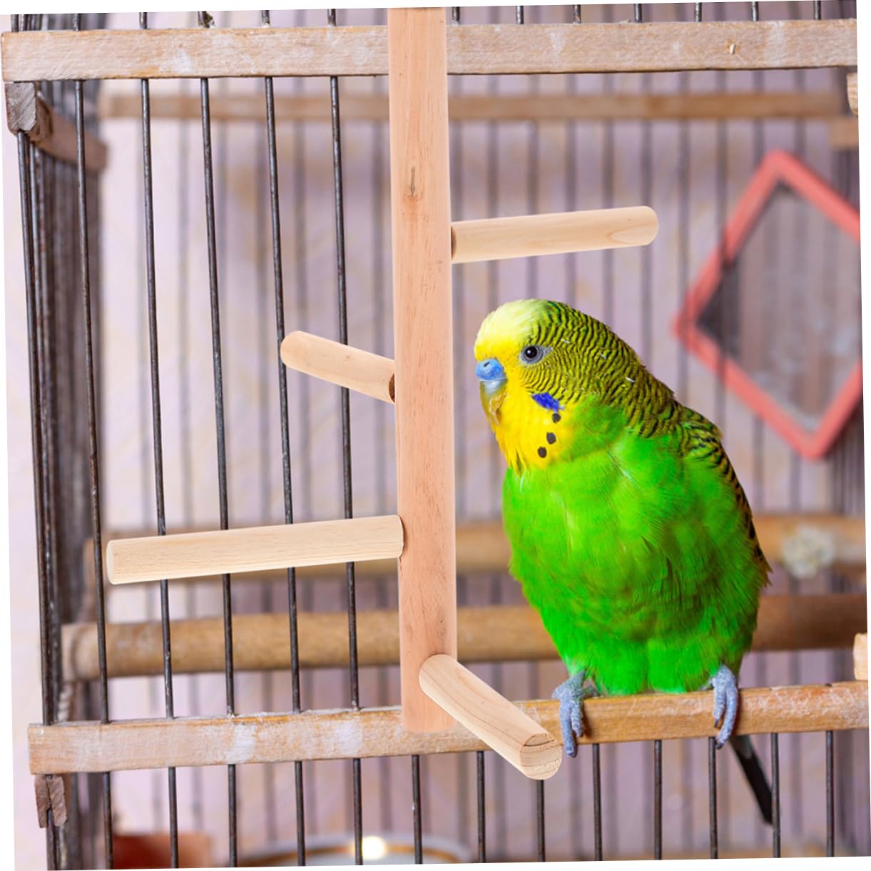 HANABASS 10piezas Soporte De Percha para Pájaros De Madera Natural Juguete para Aves Plataforma para Jaula para Periquitos y Loros Fomenta El Ejercicio Diversión