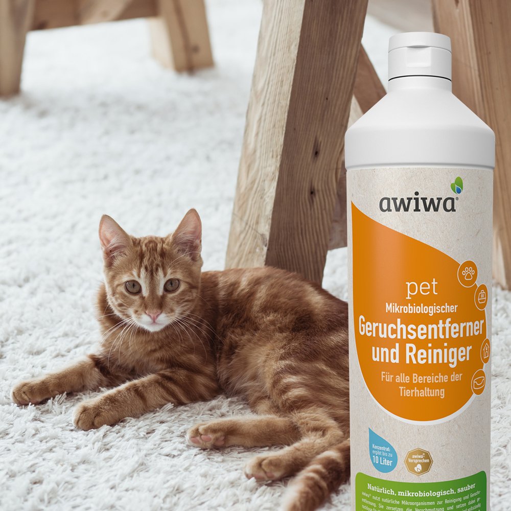 awiwa® pet Mikro­biologischer Tier-Geruchsentferner Konzentrat – gegen Tierurin Geruch & Flecken, für Hund Katze Haustier geruchsneutralisierend (10 Liter)