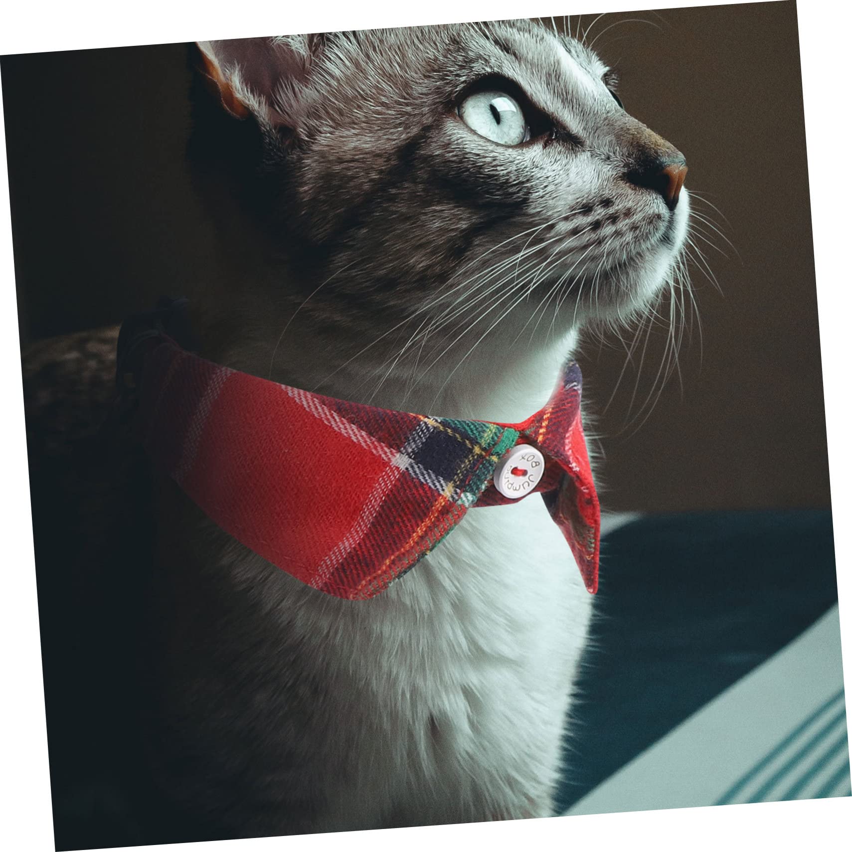 ABOOFAN 5 Pezzi Grandi Collare Per Gatti Design Scozzese Collari Regolabili Per Gatti Con Campanelli Collari Per Animali Domestici