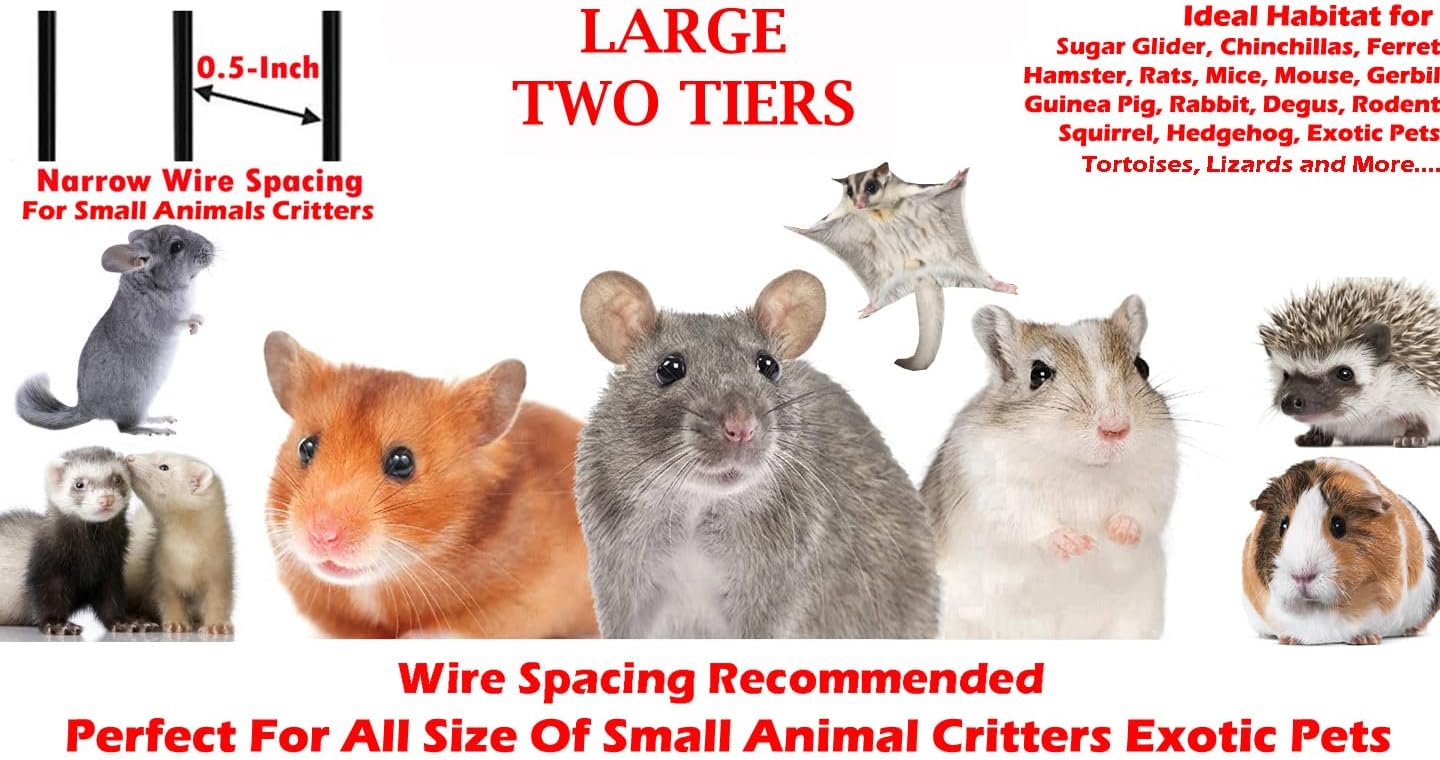 https://m.media-amazon.com/images/I/71TAGKupWNL._AC_SL1440_.jpg