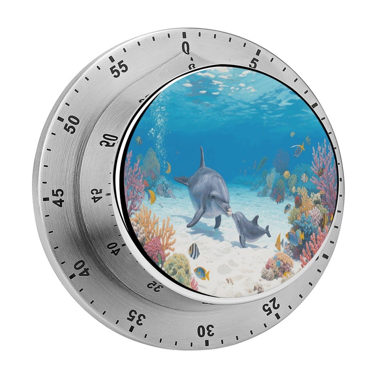 Dolphin Timer Digital Stainless Steel Kitchen Timers with Loud Alarm Visual Timers Magnetic Countdown Countup Timer for Homework Chores Office Time Management