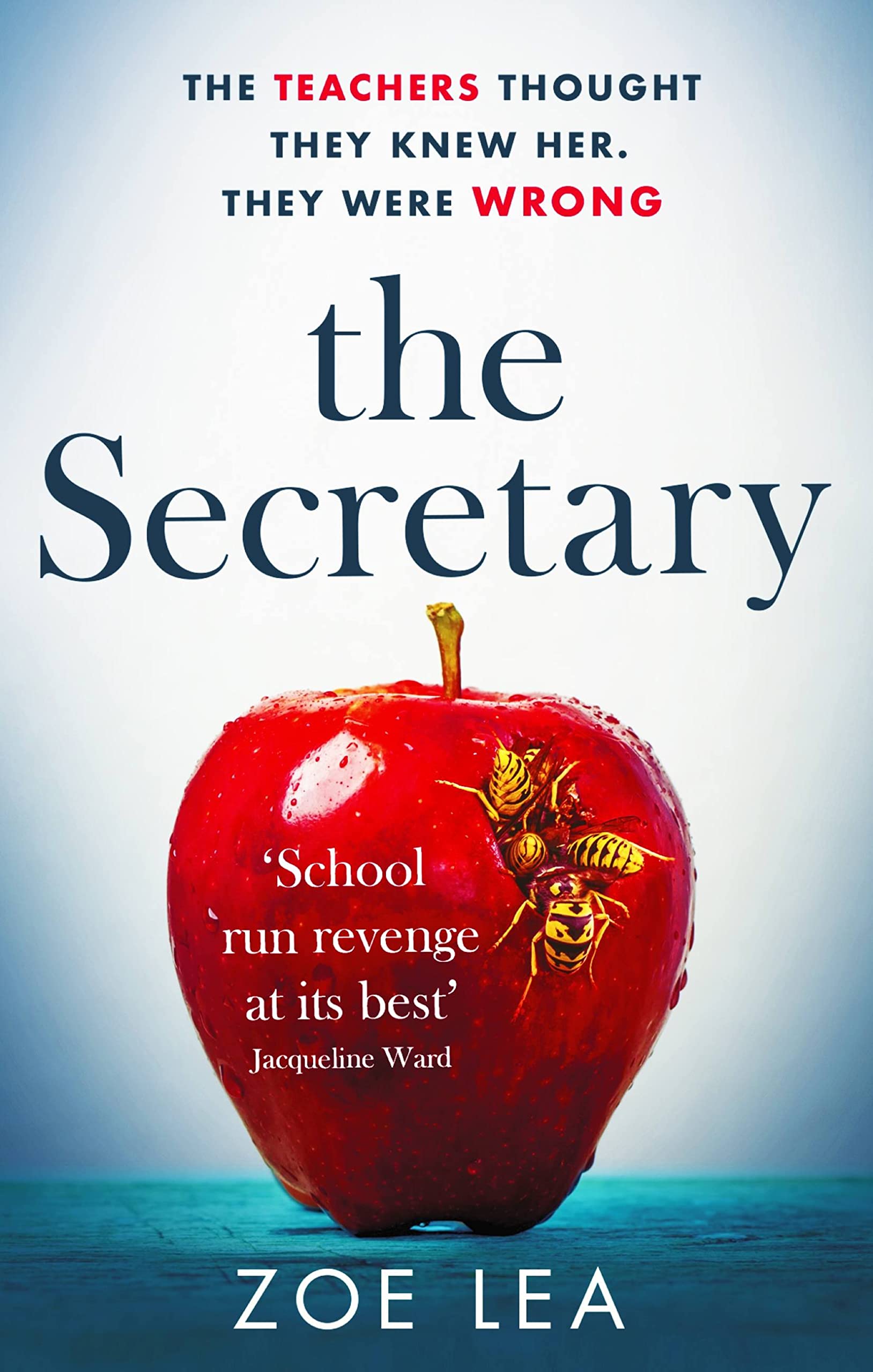 The Secretary: An addictive page turner of school-run revenge