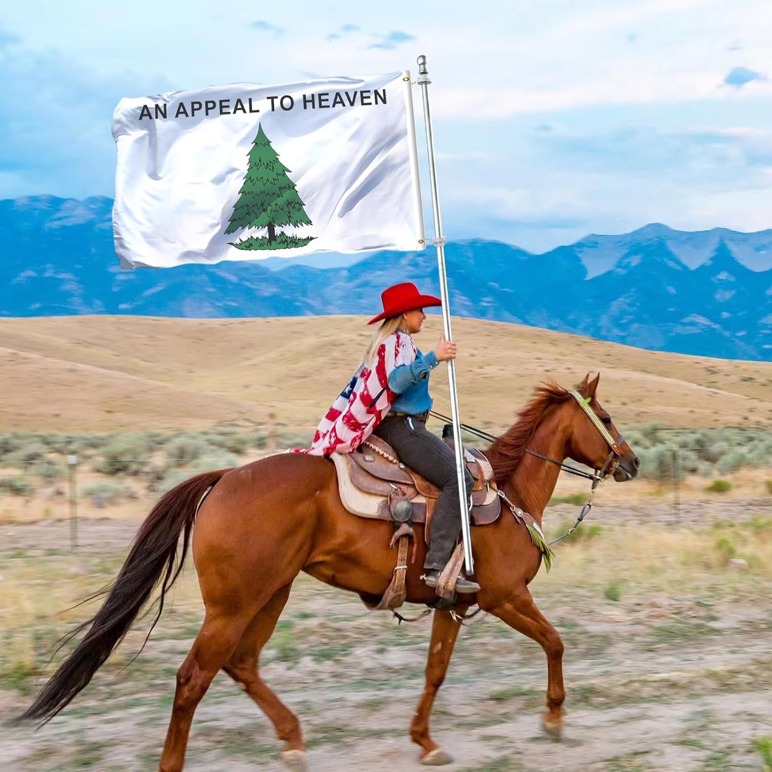 tnpun 3x5 An Appeal to Heaven Flag Double Sided Pine Tree Flags Vivid Color Heavy Duty Historical Liberty Tree American Flag Banner with 2 Brass Grommets 4 Rows of Stitches - Image 2