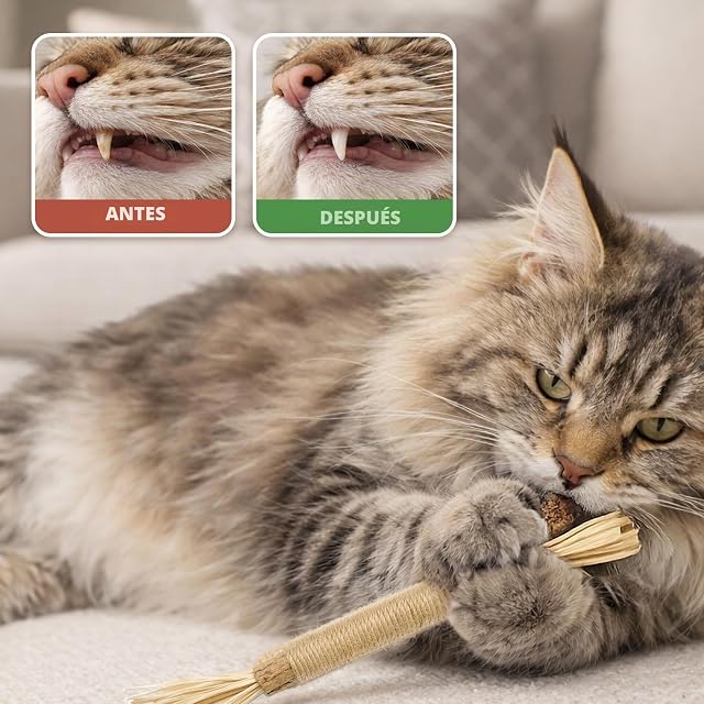 Foto 4 de 5 de YISCOKO 3PCS Matatabi para gatos Masticar Palos Palos de matatabi para gatos Dientes y Liberación de Estrés…
