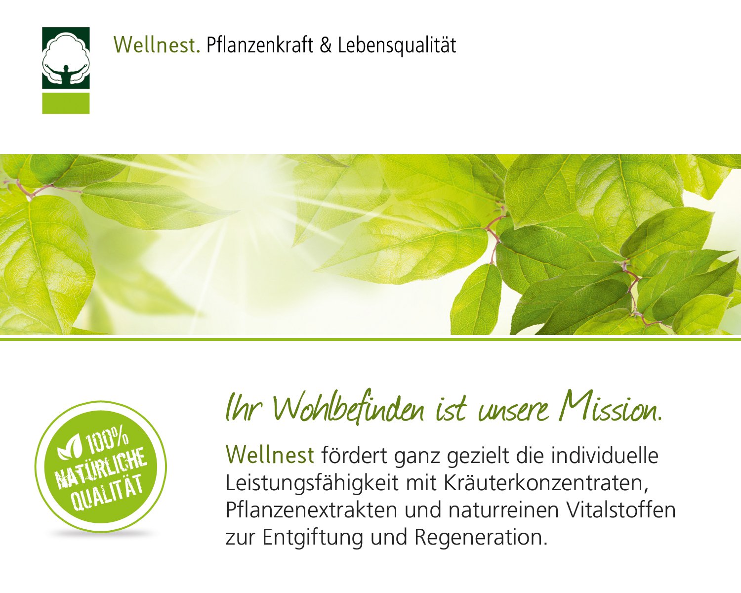 Leber-Kraft Daily Bio Konzentrat 100ml mit Mariendistel, Kurkuma, Löwenzahn, Schafgarbe und Odermennig - Manufaktur Qualität