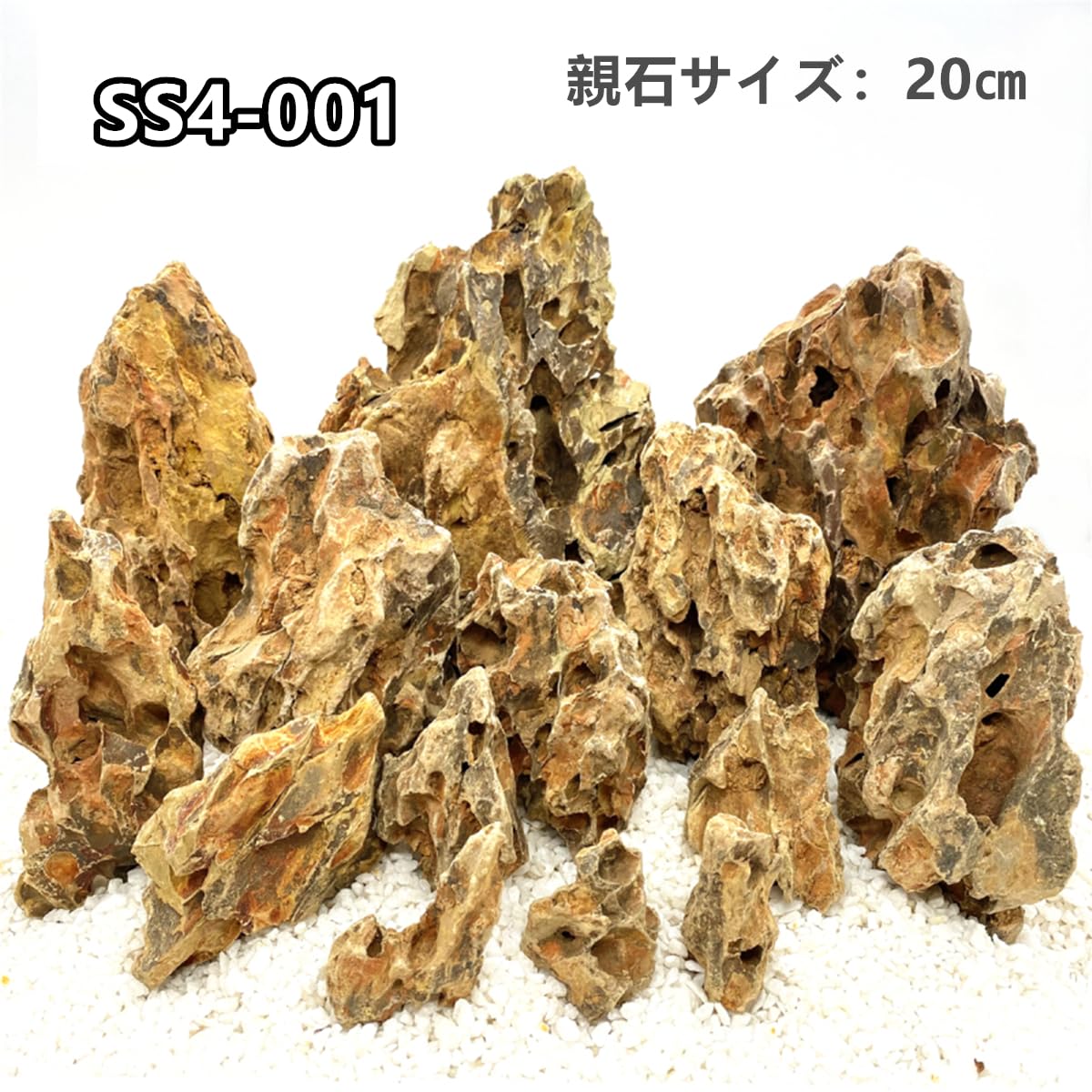 Amazon | RAKYPET【安心・選べる】気孔石レイアウトセット 4000gセット