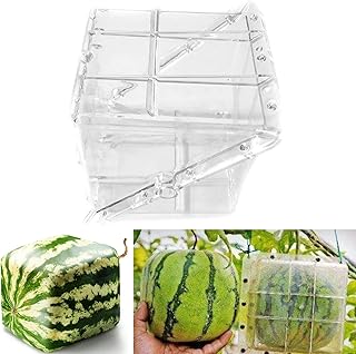 Denpetec Watermelon Growing Mold - Heart Square Transparent Watermelon Growing Mold Fruit Shaping Mould Vegetable Growing Mould Growth Forming Mold