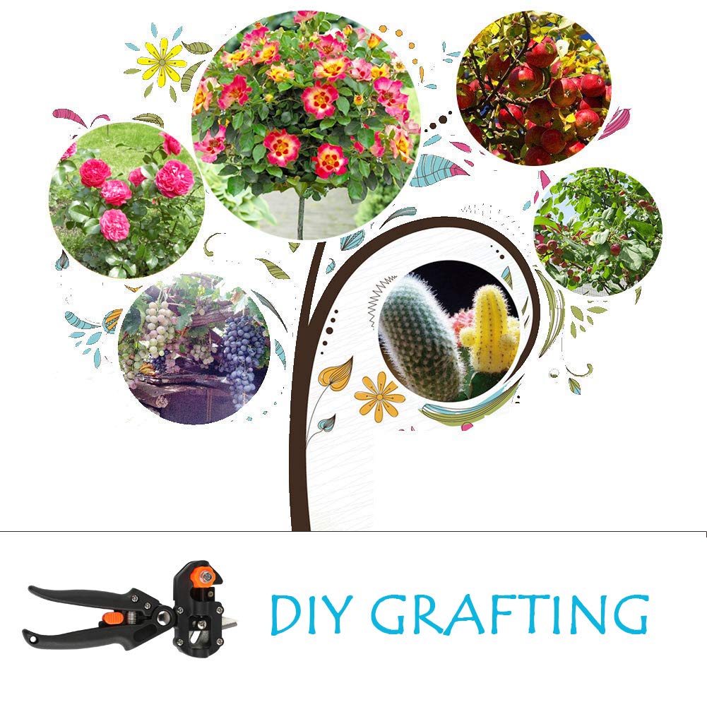 Ballery Jardín Injerto Kit, Profesional Podadora Cortar Tijeras Jardinería Herramienta de Injertar con 3 Cuchillas Corte de Forma V/U/Ω para Injertos Planta Árboles Frutales Ramas Bonsai image_1