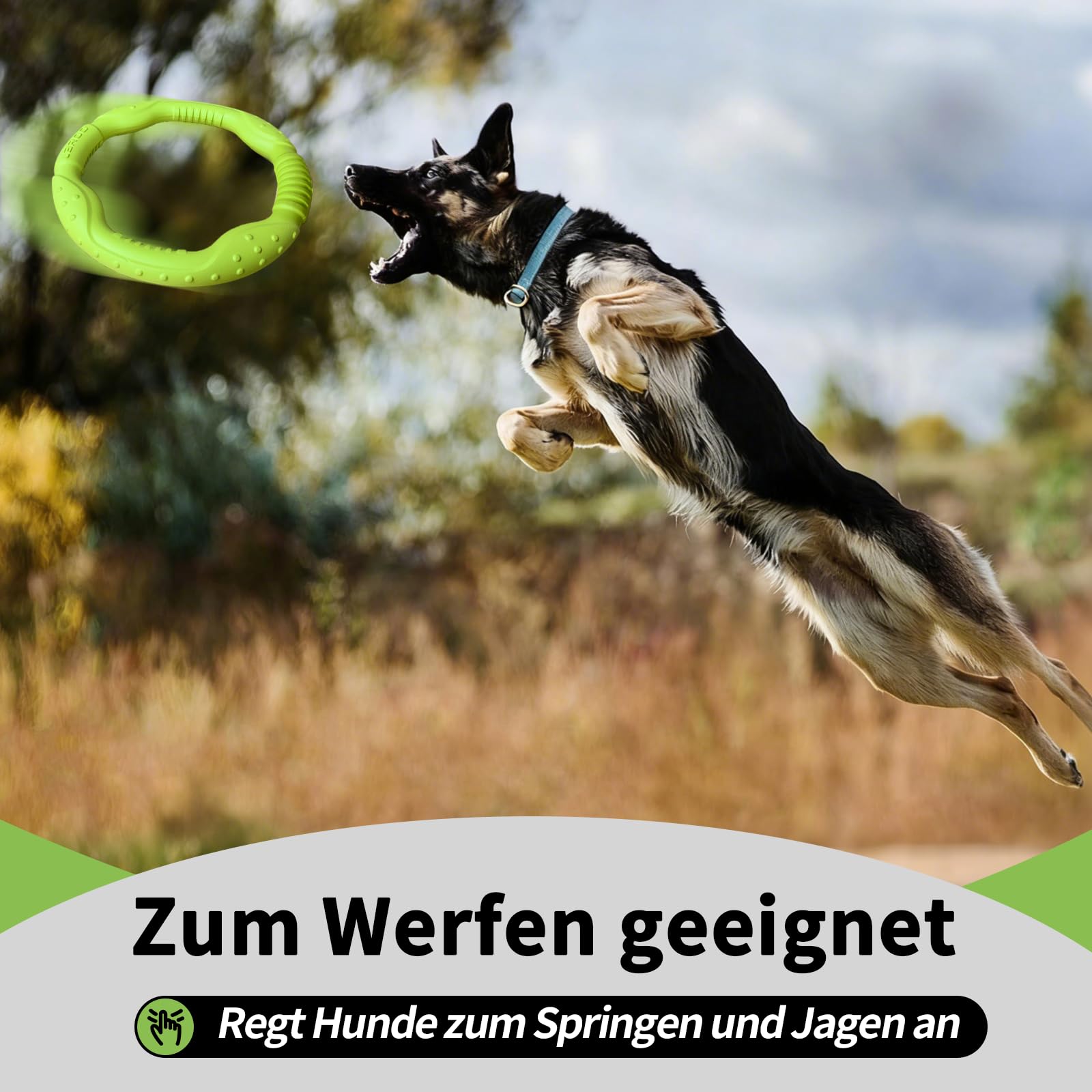 LaRoo Jouet pour Chien Dog Disc, Disque de Lancer Durable pour Chiens forts pour Petits, Moyens et Grands Chiens, Sport, Exercice, Activité et Jeux de Plein air (Vert, Grand-30CM)