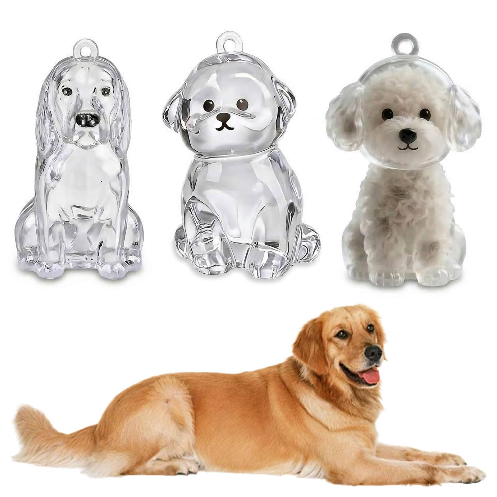 Set di 3 Ciondoli Porta Pelo Cane Ricordo, Mini Contenitore Commemorativo per Peli Animali (Teddy, Bichon e Golden Retriever), Souvenir Portatile in Plastica per Amanti dei Cani