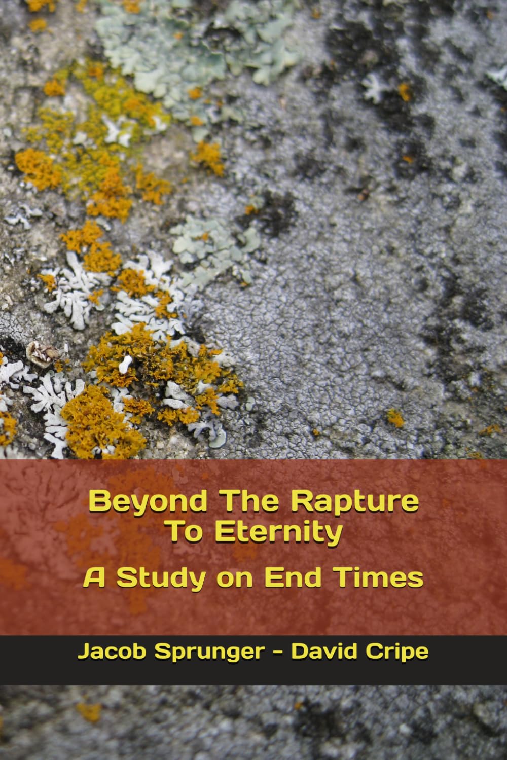 Beyond The Rapture To Eternity: A Study on End Times