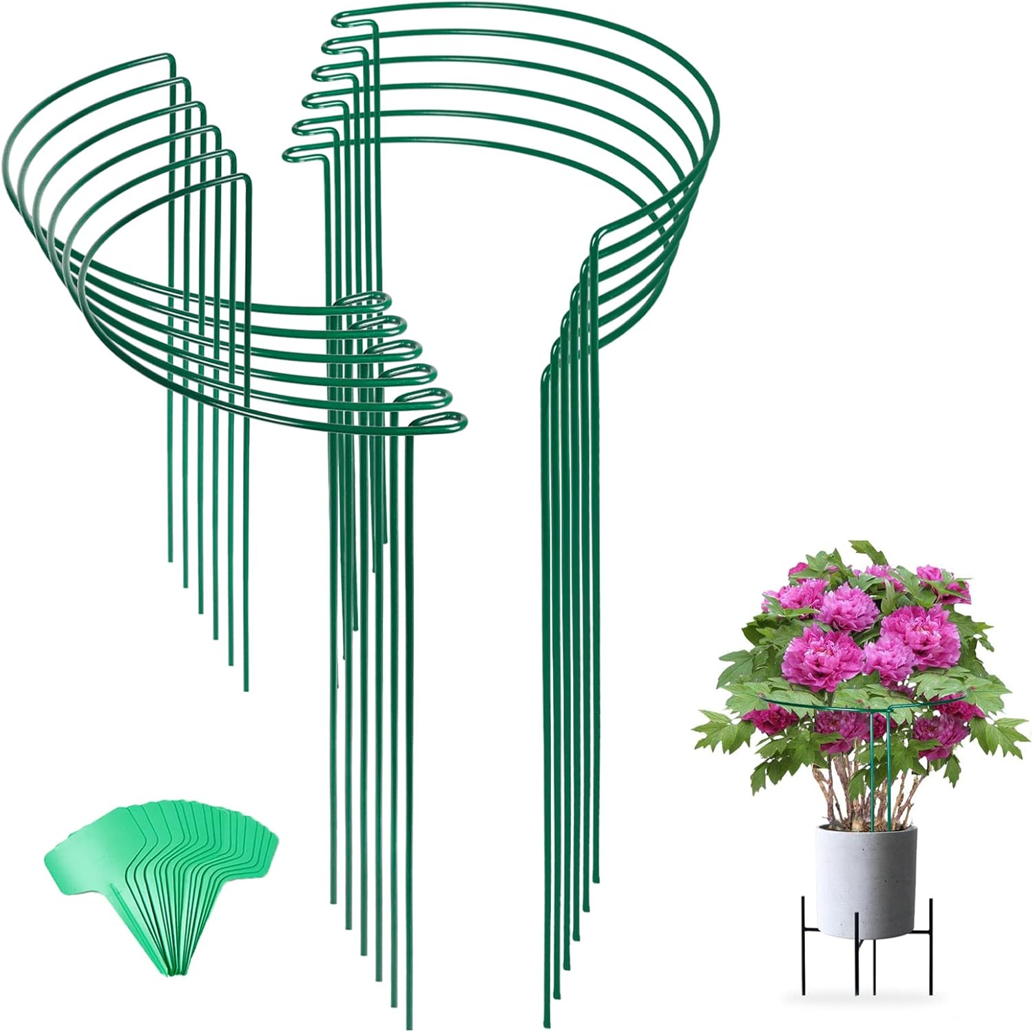 Joyhalo 12 Pack Plant Support Stakes for Indoor Plants 24 Inch, Peony Cages and Supports, Peony Cage with 15 Pcs Twist Ties, Monstera Plant Support for Plants Tomato, Hydrangea, Monstera