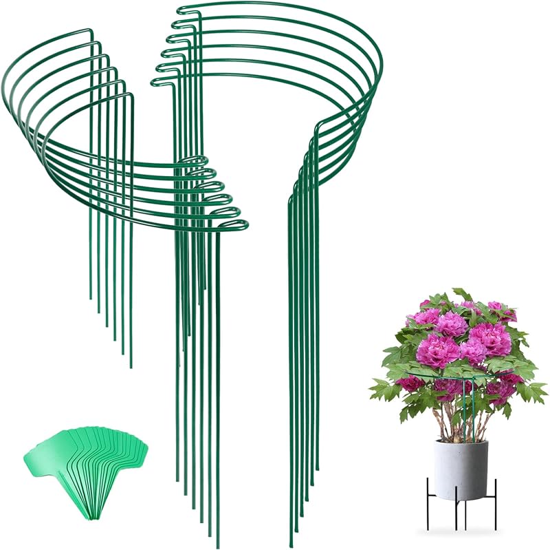 12 Pack 24 Inch Tall Snake Plant Support Stakes with 15 Twist Ties | Plant support for indoor plants, Peony flower cage, Monstera plant support, Tomato and hydrangea stake, Tall garden stakes