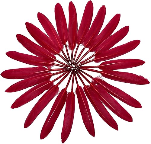 Miniatura 3 de FeelfunFeather 120 piezas de plumas de ganso rojo vino natural a granel 4-6 pulgadas 3.9-5.9 in para bodas, fiestas, Navidad, Halloween,