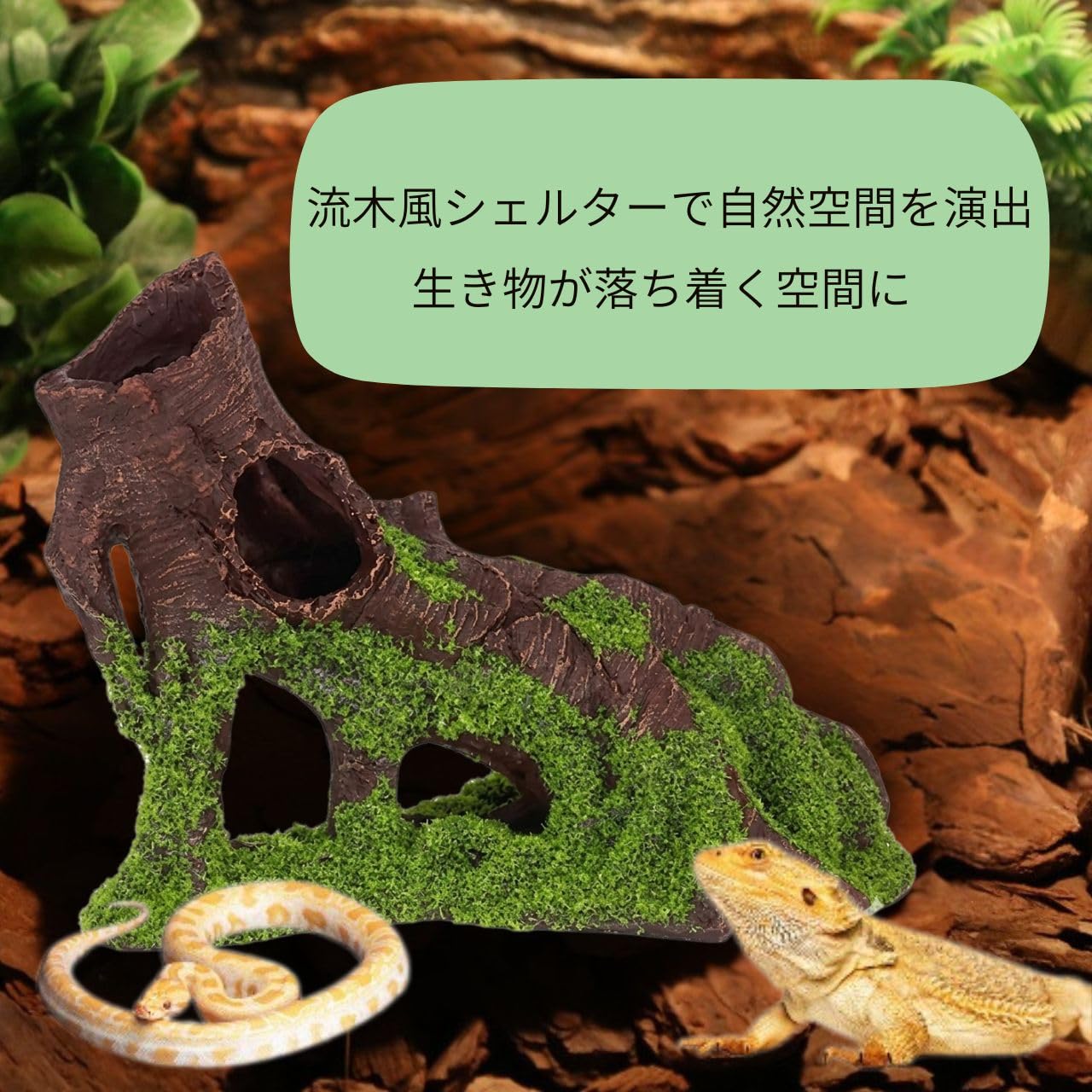 Amazon.co.jp: 流木 爬虫類 登り木 テラリウム 苔 シェルター 隠れ家