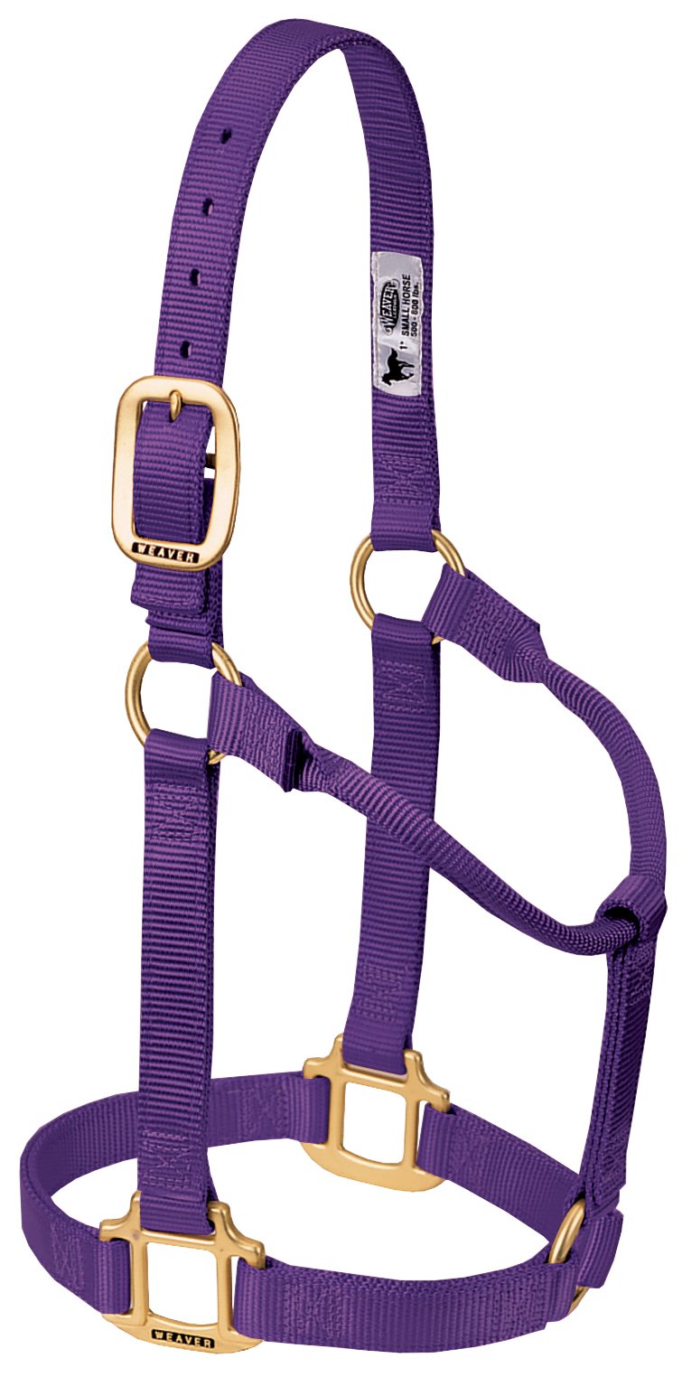 Weaver Leather Original - Cabestro de Caballo de Nailon no Ajustable, Grande, Color Morado