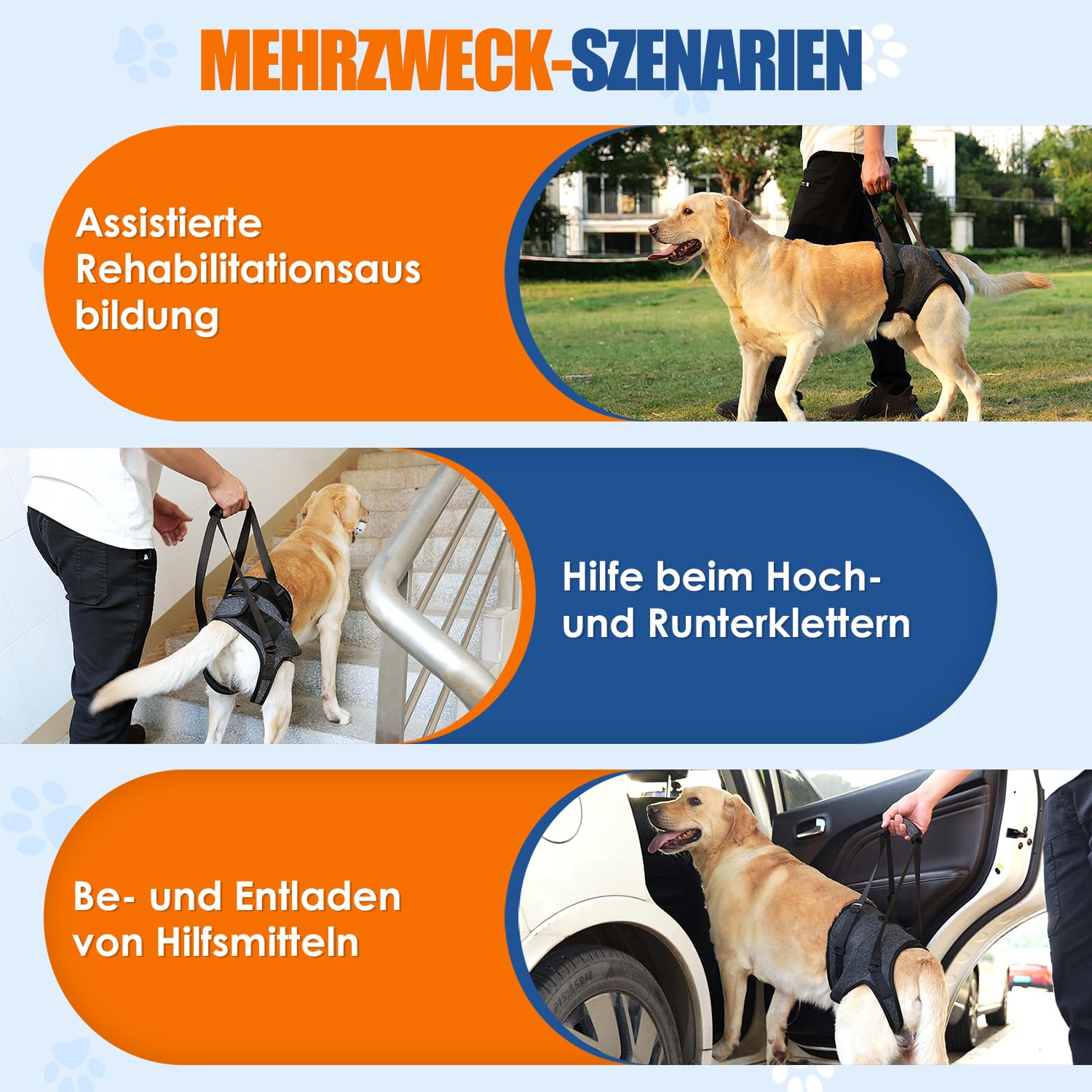 Eyein Tragehilfe für mittelgroße große Hunde, Tragetasche Hund mit verstellbarem Hinterbein-Stützgurt für ältere, verletzte oder behinderte Hunde bei schwachen Hinterbeinen nach Kreuzband-OP, L