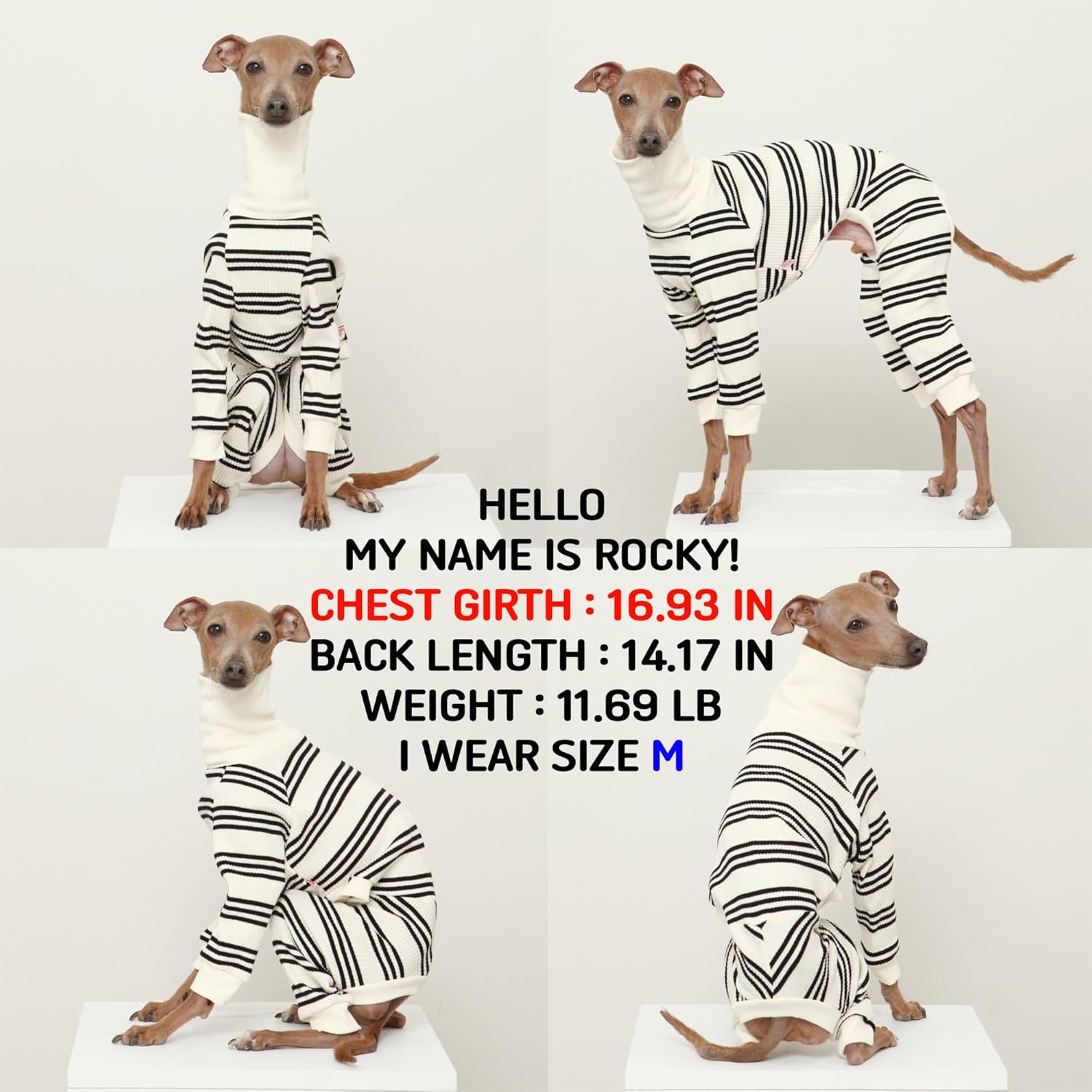 D Doggy Star Italian Greyhound Clothes Soft Stretchy Onesie Refined Stripe Outfit Whippet for Dog Coat (M,Onsi Black Str)