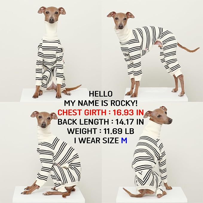 D Doggy Star Mono Suave Elástico para Perro Italiano Greyhound Whippet miniatura 2