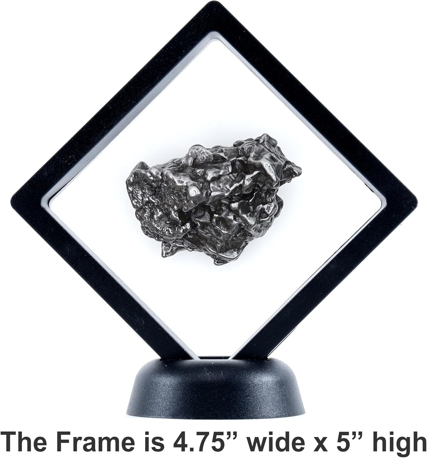 DANCING BEAR Real Meteorite Extra Large (71-75g) Genuine from Campo Del Cielo Argentina, Certificate of Authenticity, Display Stand, ID Card, Space Rock, Assembled in The USA