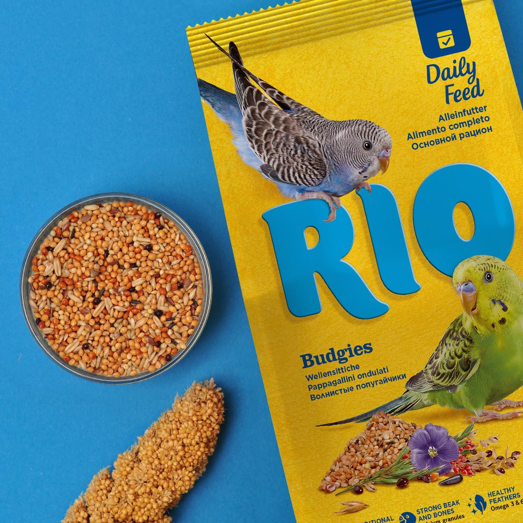 RIO Karma dla papużek falistych | Podwójne opakowanie | 2 x 500 g | Specjalnie skomponowany miks wyselekcjonowanych i popularnych nasion i zbóż | Do codziennego karmienia
