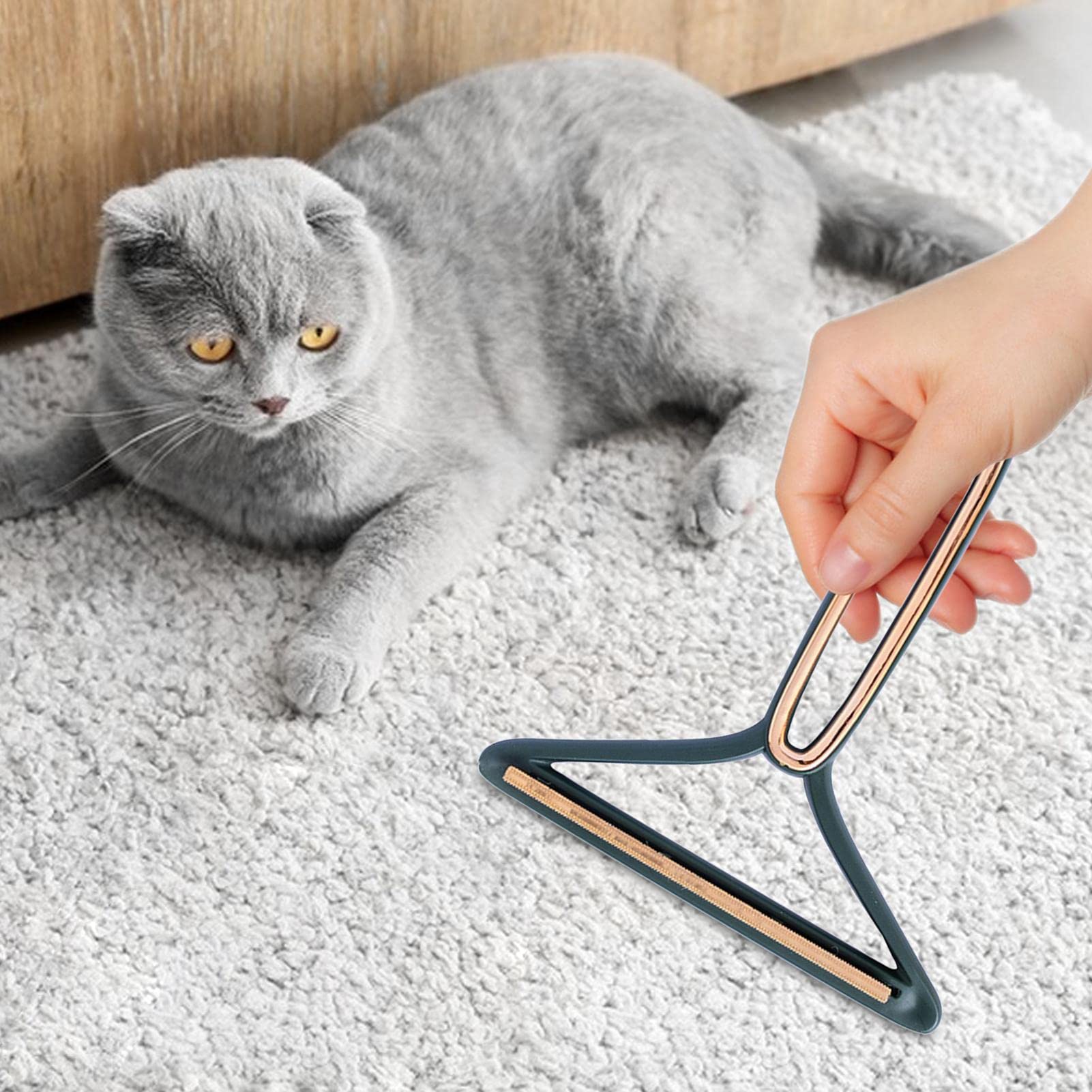 Raschietto Per Animali Domestici, Portatile Per Tappeti