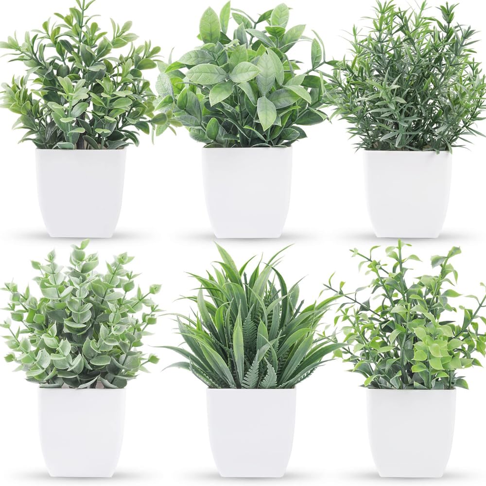 WOGREZ Topf Knstliche Pflanzen drinnen 6 Set Nette geflschte Pflanzen in  Tpfen Kleine grne Gras Topfpflanzen Dekorative Faux Pflanzen fr Haus  Bro Balkon Schreibtisch Badezimmer Dekoration: Amazon.de: Garten