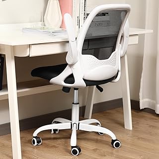 Office Chair, FelixKing Ergonomic Desk Chair with Lumbar Support and Height Adjustable Swivel Computer Chair with Flip-up Arms for Men Women (C-White)