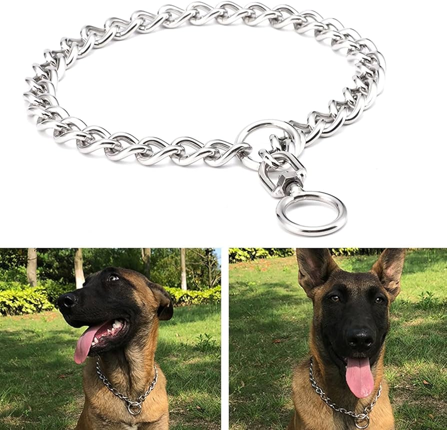 Amazon.co.jp: 犬用首輪,しつけ用首輪,ベーシック首輪,小中大型