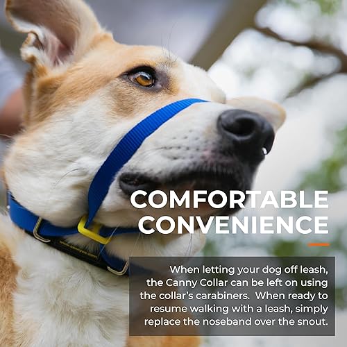 Miniatura 8 de Canny Collar de cabeza de perro sin tirones  Collar de entrenamiento suave para perro para tirar de la correa  Detiene tirones, fácil control para