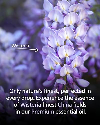 Miniatura 159 de Aceite esencial de sándalo puro, aceite esencial de sándalo natural 100% puro, aceites esenciales de alta calidad para difusores para el hogar