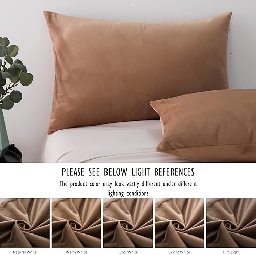 Miniatura 124 de TELUS 2 Pack Zippered Velvet Standard Pillowcases, Super Soft and Cozy Luxury Fuzzy Flannel Pillow Cases with Zipper, 20x26 Inches, Light Blue