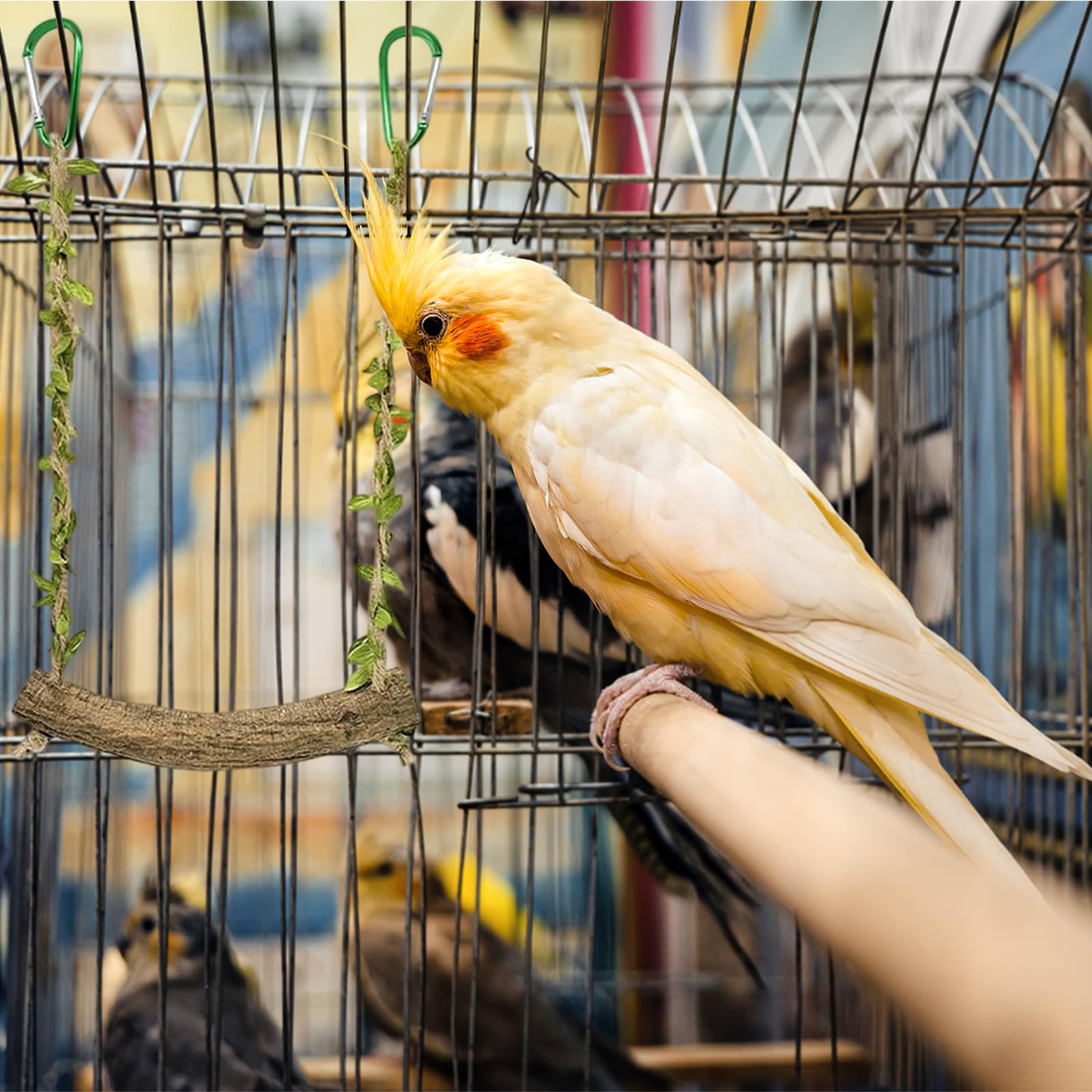 2 Pièces Perchoir Perroquet - BalançOire pour Oiseaux - Jouet Perruche - Accessoires pour Cage à Oiseaux, AdaptéS à Tous LesOiseaux de Petite et Moyenne Taille
