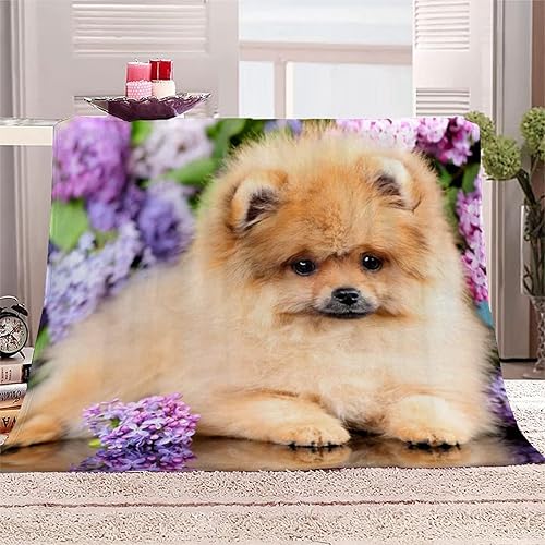 Boceoey Tamaño de la manta de forro polar, manta para cama, sofá, campamento y viajes, manta cálida y ligera para oficina y dormitorio, manta de