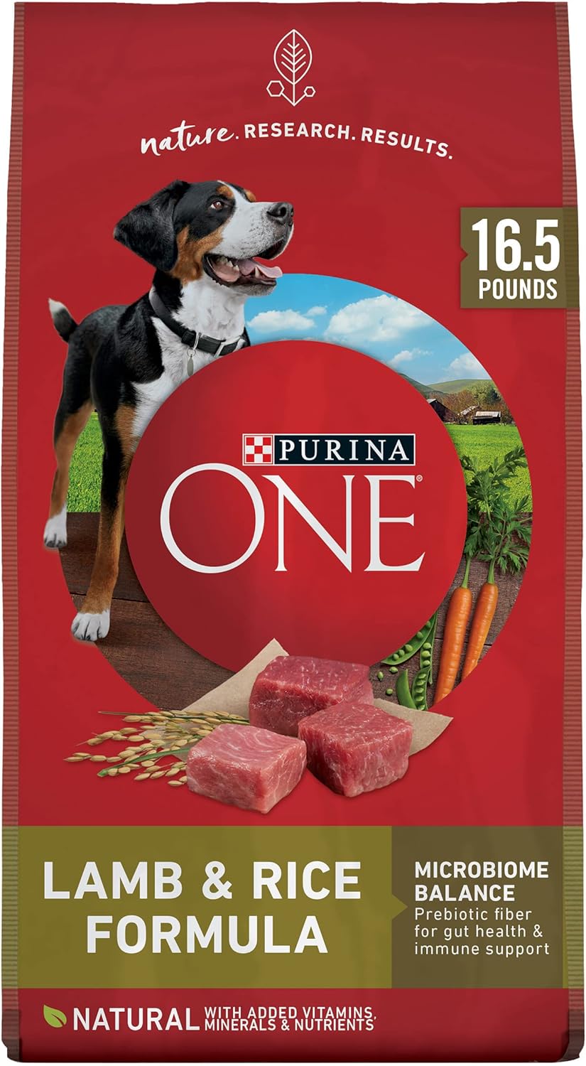 Purina ONE Dry Dog Food Lamb