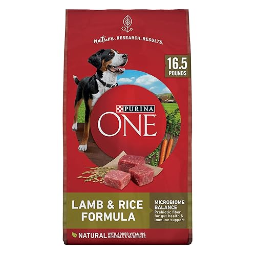 Purina ONE Dry Dog Food Lamb and Rice Formula - 16.5 lb. Bag - 16.5 Pound (Pack of 1)