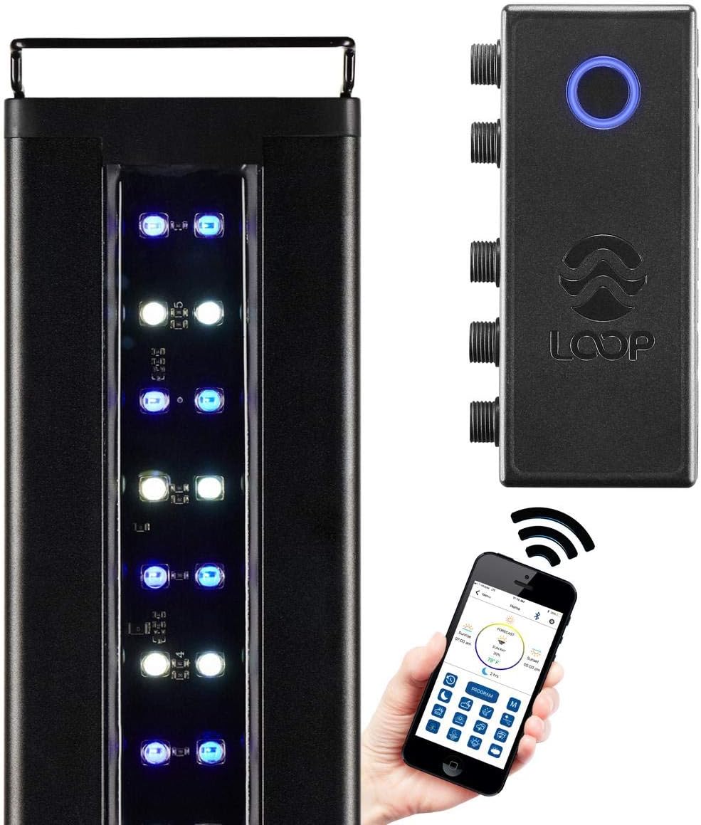 CURRENT USA 48-60" Inch Orbit Marine IC Loop LED Saltwater Reef Marine Aquarium Light with Bluetooth App Control | Wireless Lighting & eFlux Wave Pump Control for Fish Tank (4207)