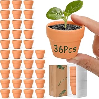 T4U Mini Clay Pots with Drainage