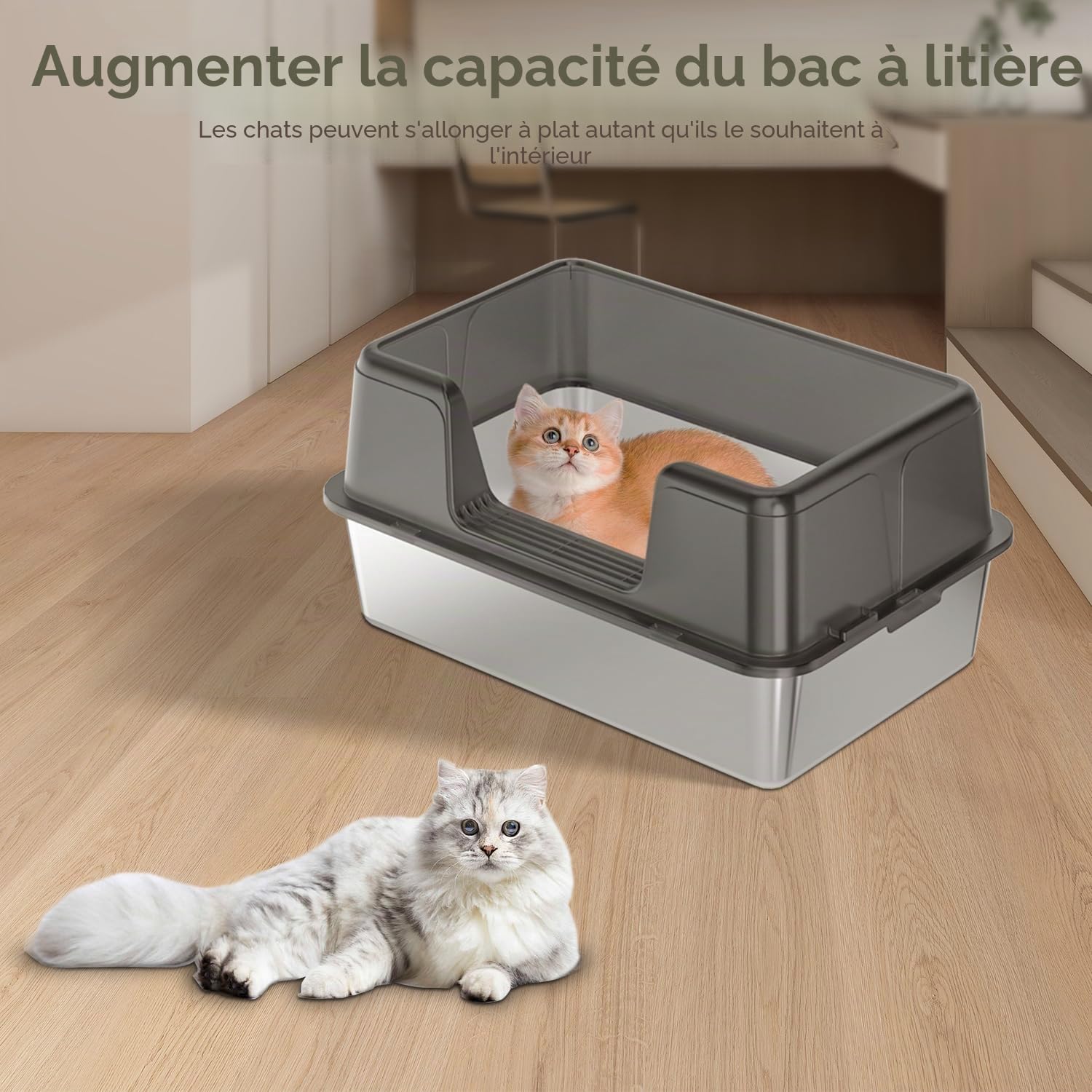 Litière pour chat en acier inoxydable - 60 x 40 x 30 cm - Avec tapis de litière et pelle à litière - Ne colle pas aux résidus et ne tire pas les odeurs