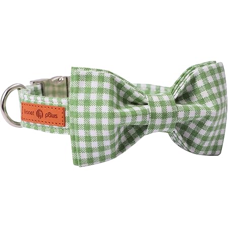 Lionet Paws Dog Collar with Bowtie, Durable Adjustable and Comfortable Collar for Small Dogs Puppies and Cats, Neck 10-16in