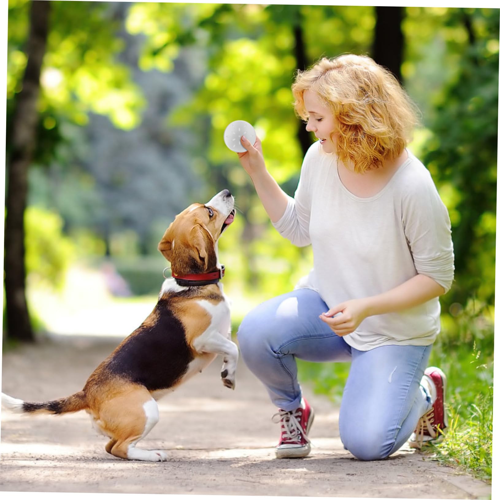 ibasenice 30 Piezas Caja de Aluminio para Entrenamiento Olfativo Canino Kit de Herramientas para de Olor Natural y Trabajo Accesorio Estable para Adiestramiento Canino