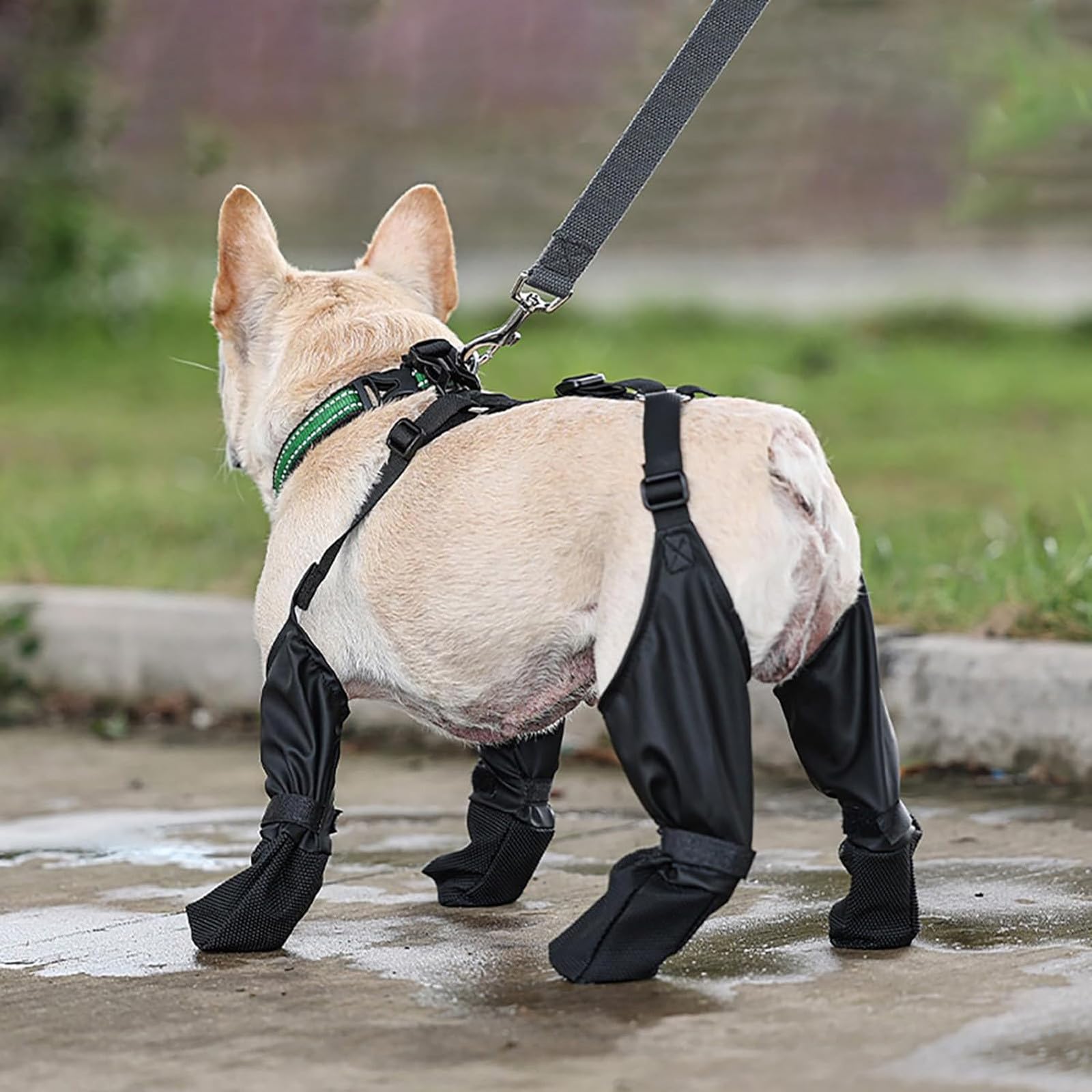 Waterproof Dog Booties Rain Boots With Suspenders, Dog Shoes Paw