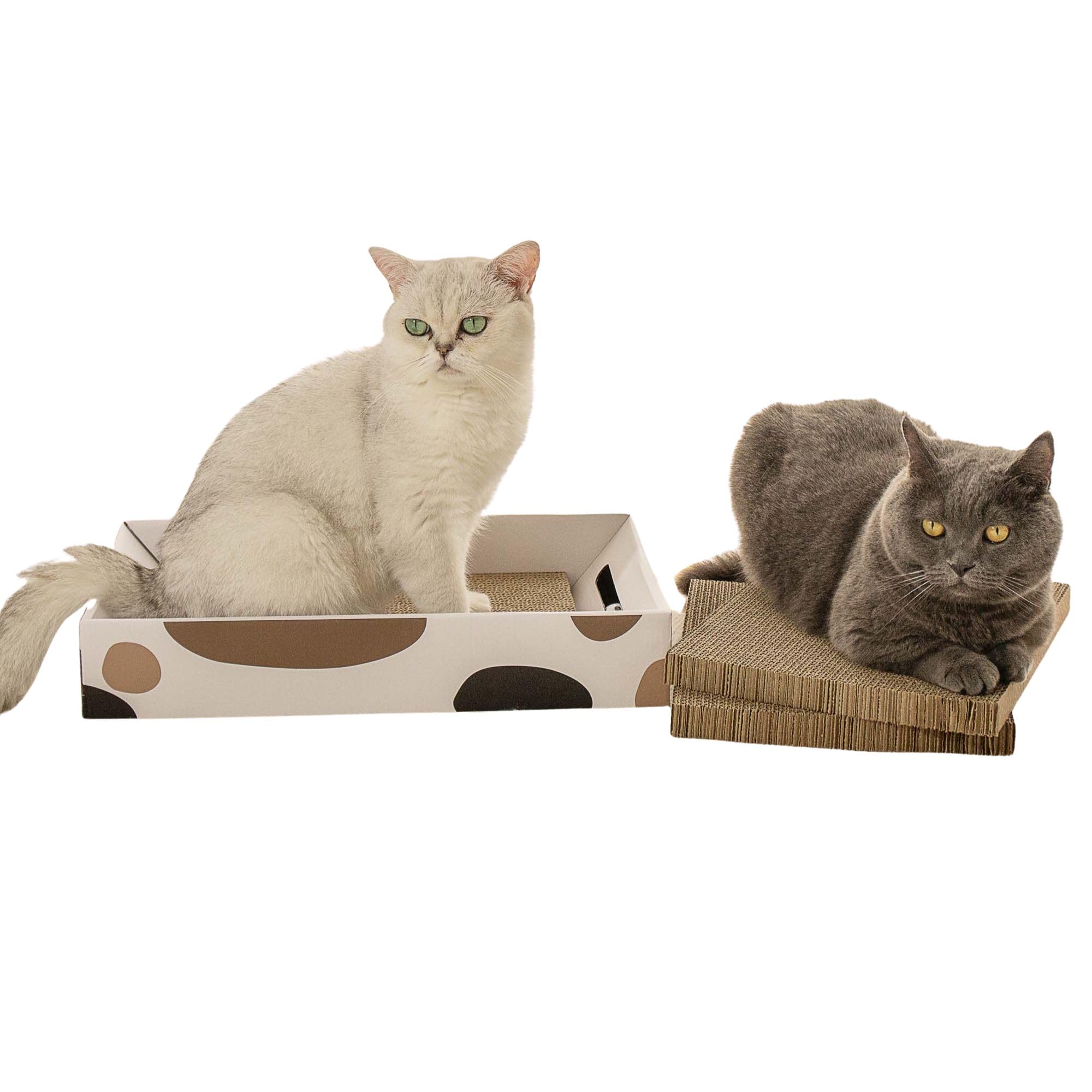 Amazon | MSBC 猫爪とぎ つめとぎ 鈴ボウル付 おもちゃ付き 箱型 掃除