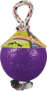 Romp-N-Roll Ball