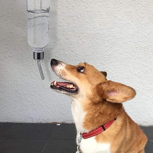 Miniatura 3 de Botella de agua para animales pequeños, dispensador de agua, fuente de hidratación por gravedad, alimentador para perros, gatos, conejos, jaula de