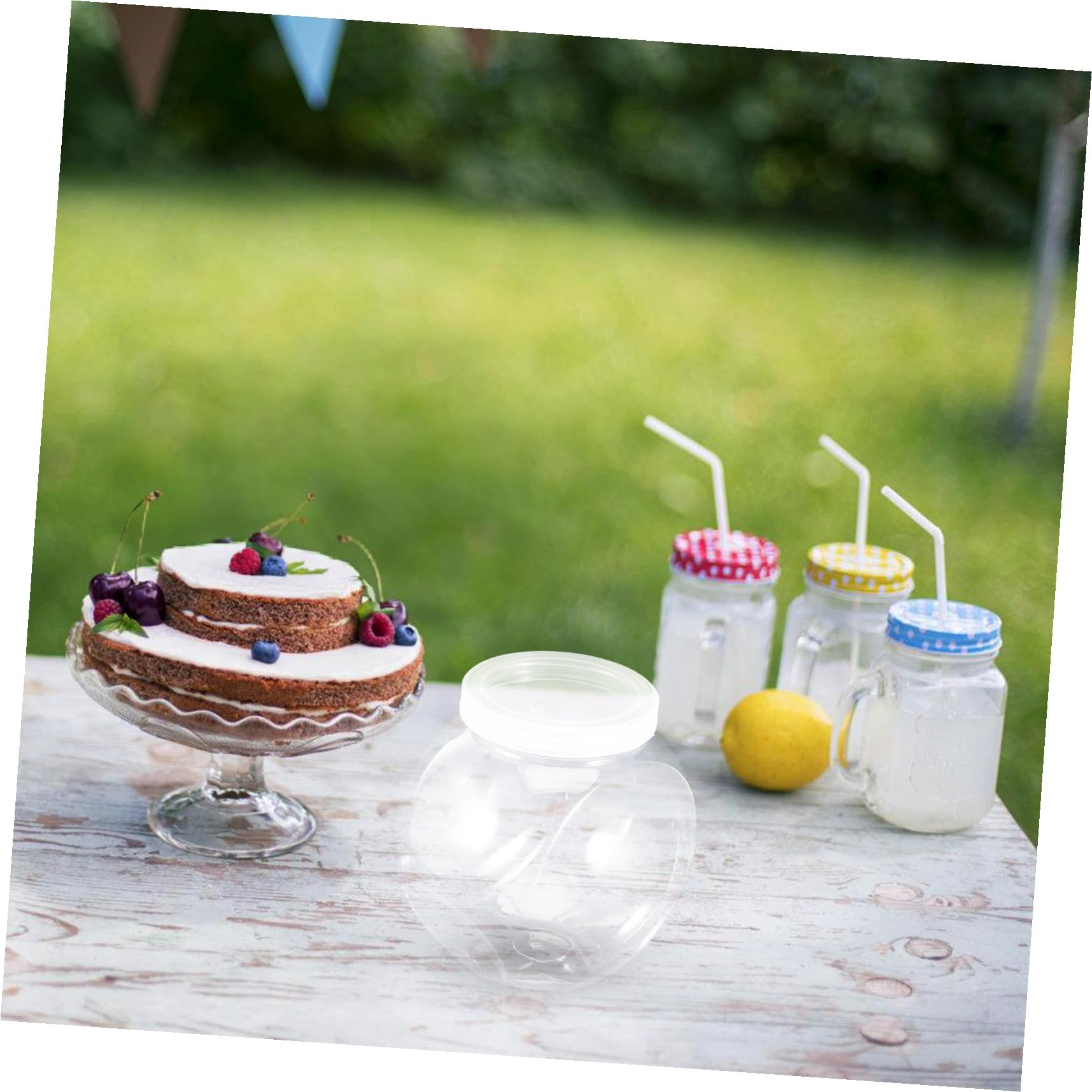 Toyvian Lot De 4 Boîtes De Conservation En Plastique Pour Biscuits Et Bonbons