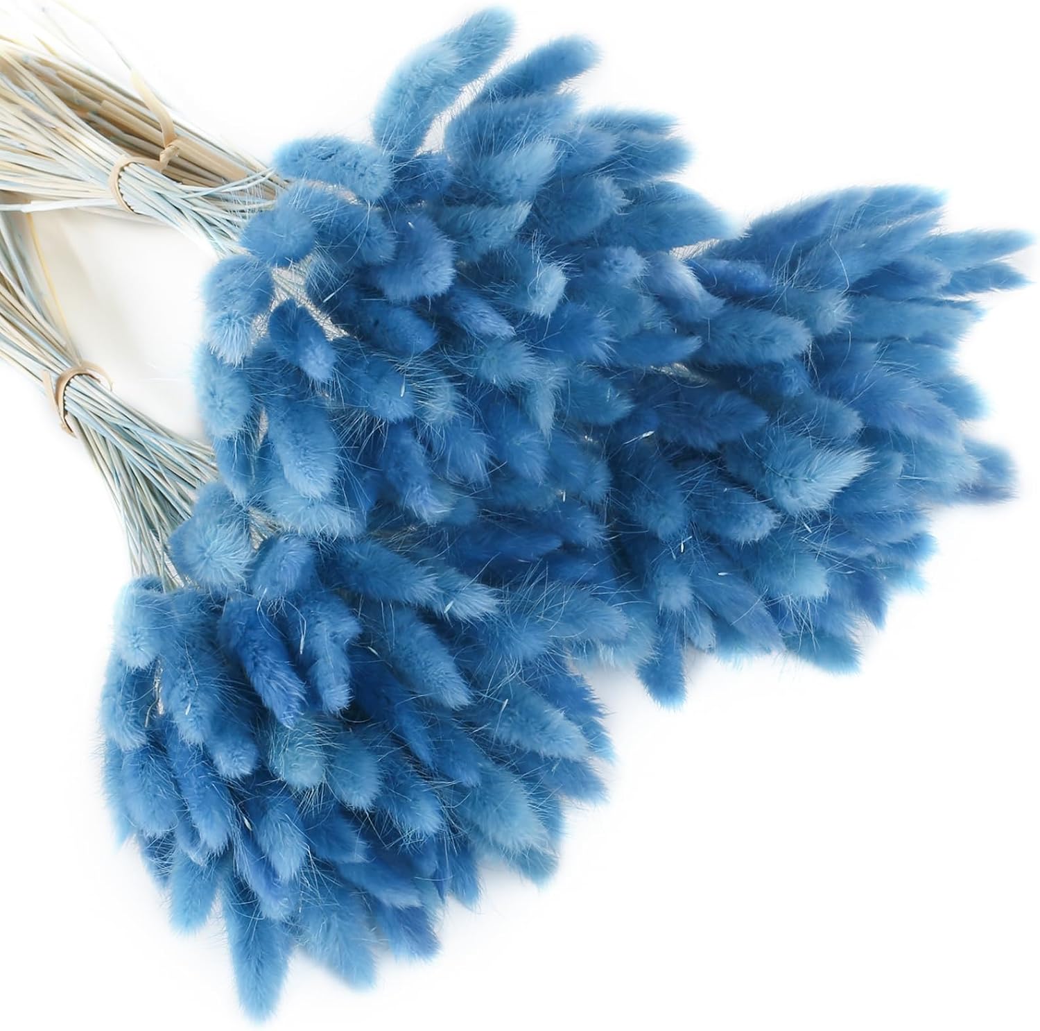 Amazon.com: XHXSTORE 240PCS Blue Dried Flowers Bunny Tails Grass ...