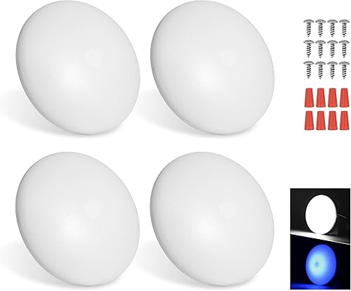 Luz LED de disco para interior de caravana, 12 V, regulable, luz blanca fría, luz de disco de 4.5 pulgadas, luz de techo LED para caravana, 12
