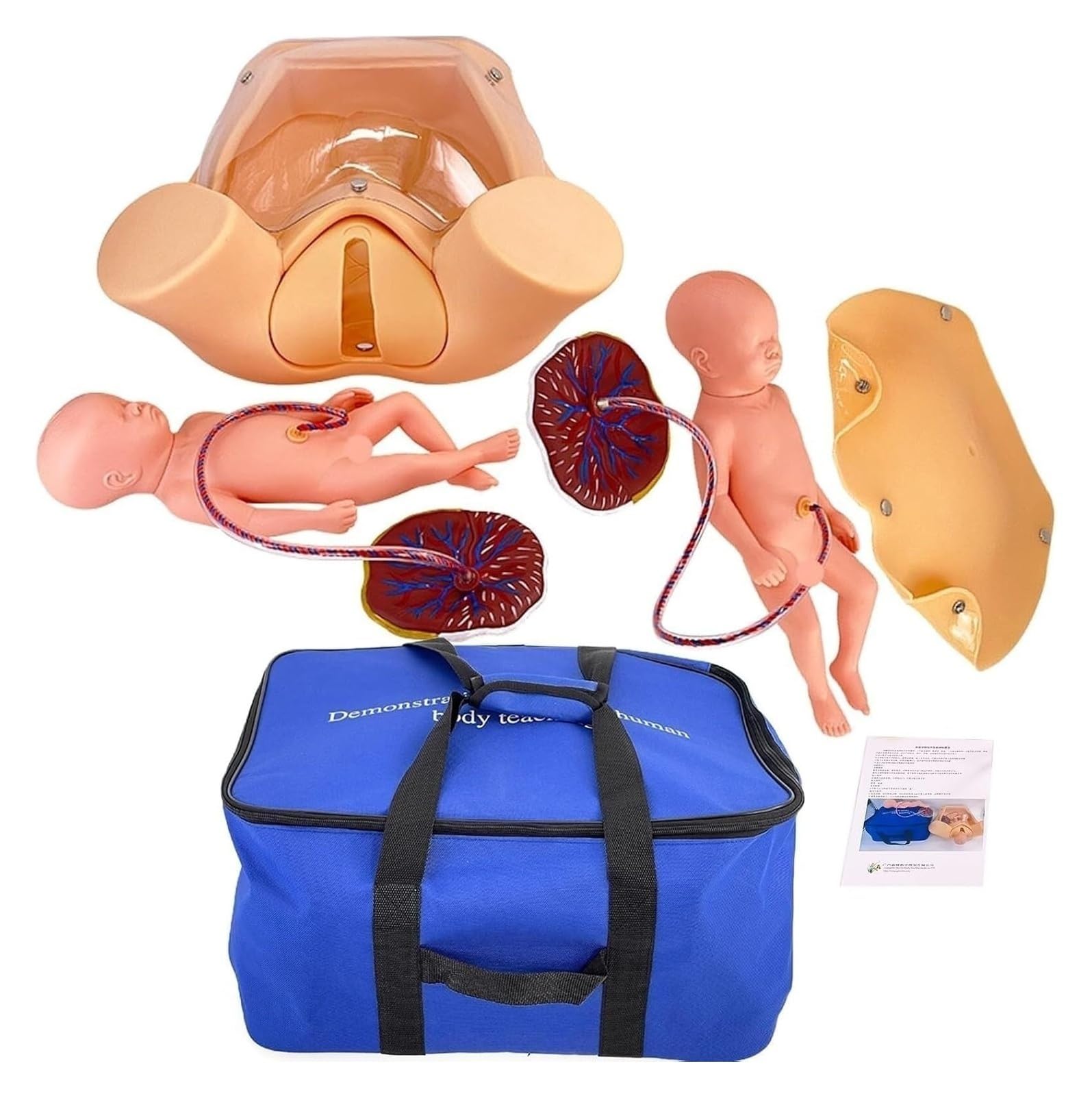 Manekin do symulacji porodu, model anatomiczny miednicy naturalnej wielkości, model edukacyjny dla porodu i macierzyństwa, do nauki nauki nauki